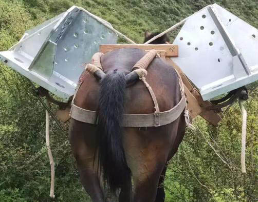 凤山县山区马帮运输电话